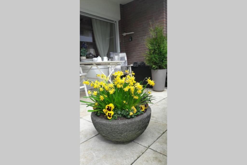 1 Zimmer Appartement Cap Arcona Neustadt in Holstein Extérieur photo
